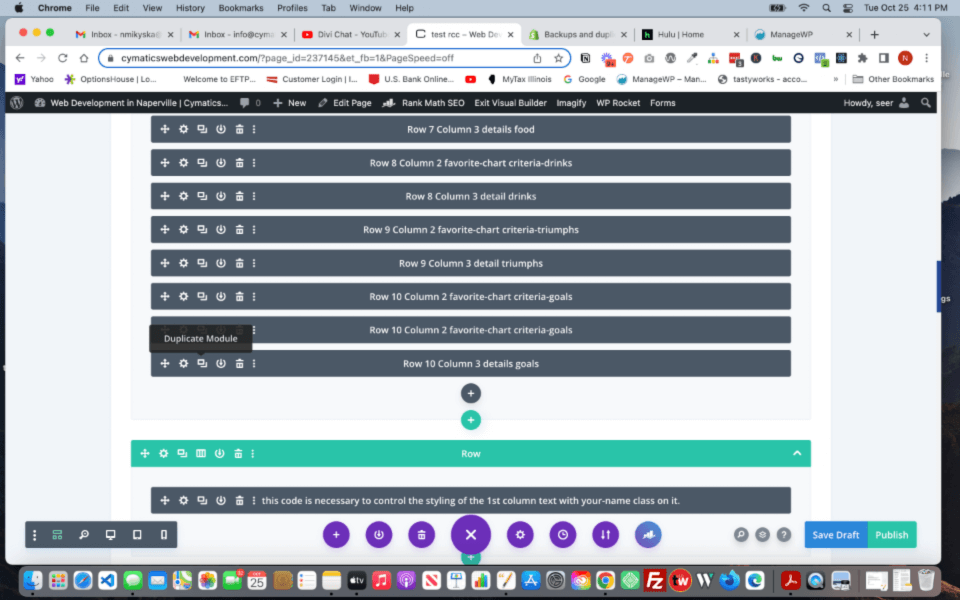 Step 3 Duplicate Details text module